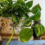 Apartament Il Nido Del Belocchio