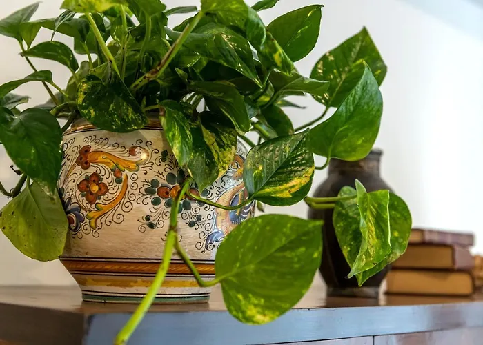 Apartment Il Nido Del Belocchio